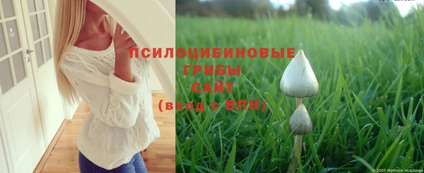 синтетический гашиш Медвежьегорск