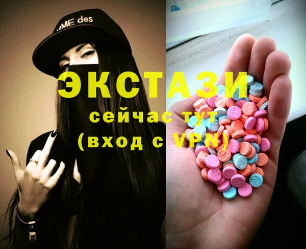 стаф Новодвинск