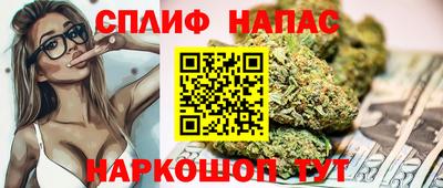прущие крисы Будённовск