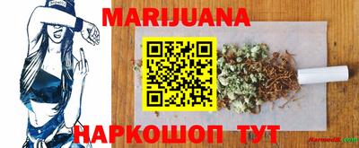 прущие крисы Будённовск