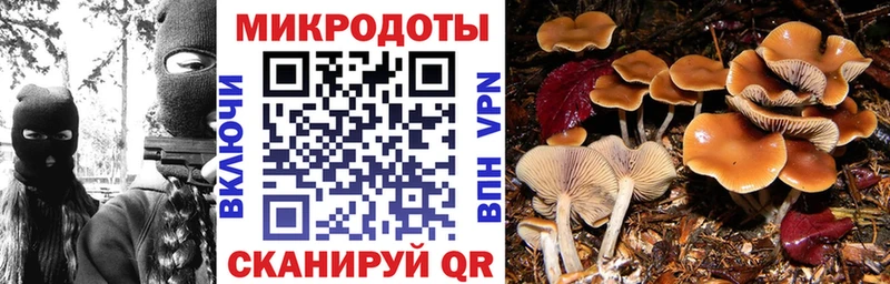 Псилоцибиновые грибы GOLDEN TEACHER  хочу наркоту  Елец 