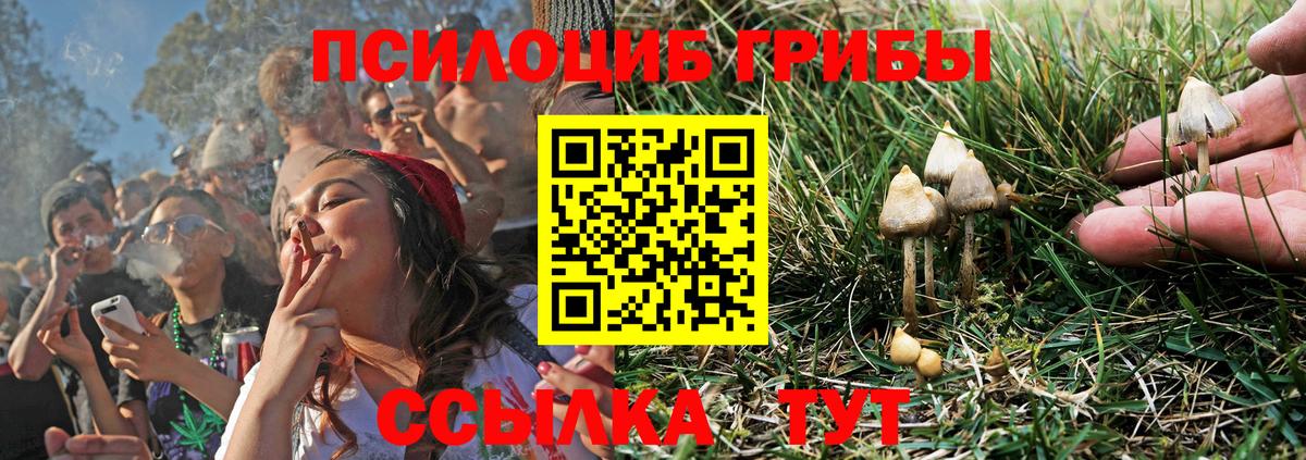 МАРИХУАНА Елец