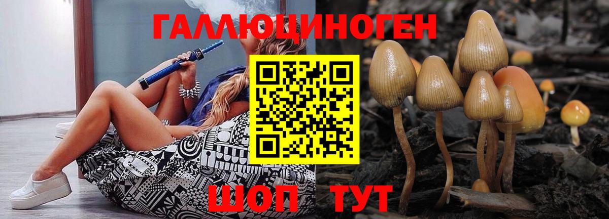наркота  Вход с VPN  Елец  Галлюциногенные грибы GOLDEN TEACHER  Псилоцибиновые грибы ЛСД 