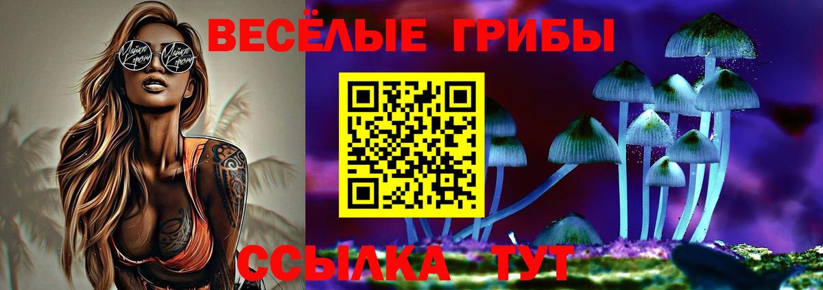 Псилоцибиновые грибы ЛСД Елец