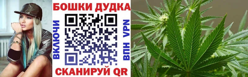 Канабис Amnesia  omg онион  Елец 